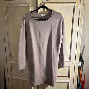 Aritzia Sweater Dress